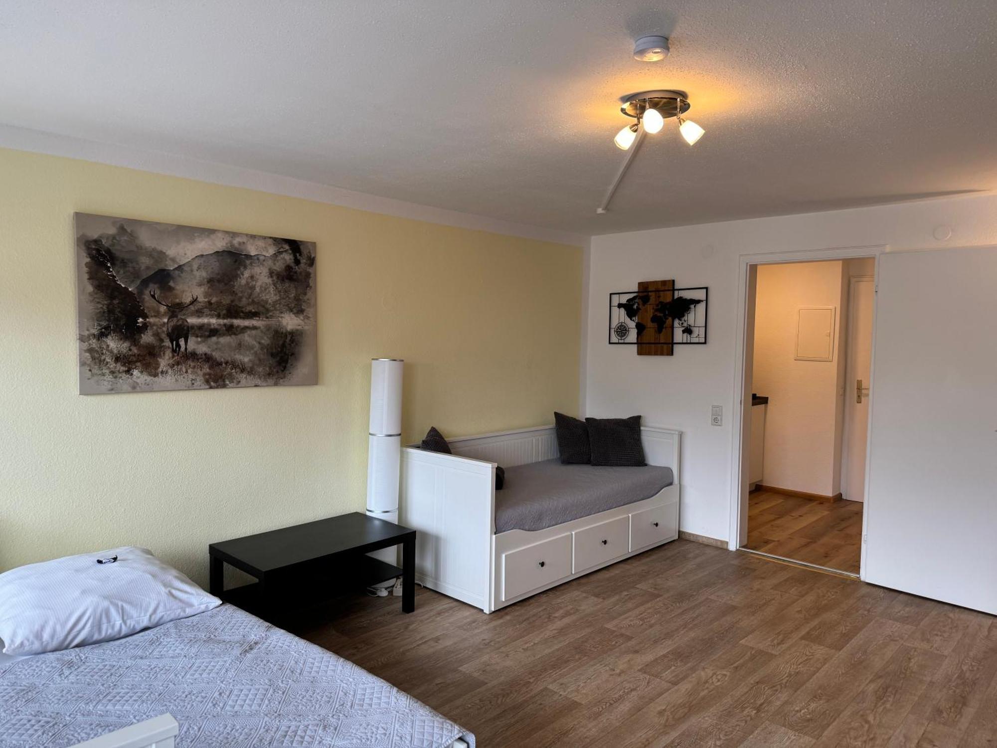 Domview Apartment St. Blasien Esterno foto