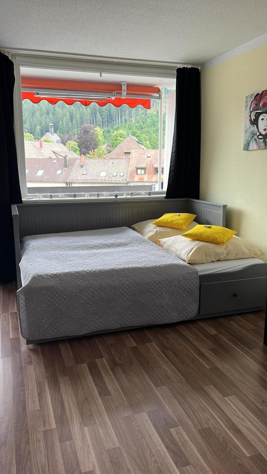 Domview Apartment St. Blasien Esterno foto