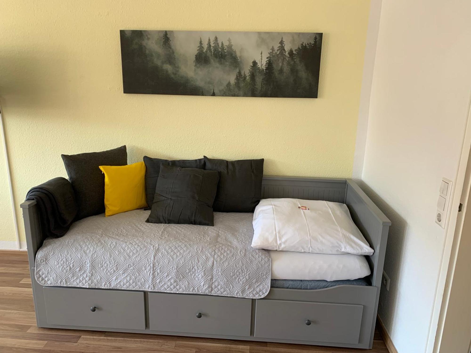 Domview Apartment St. Blasien Esterno foto