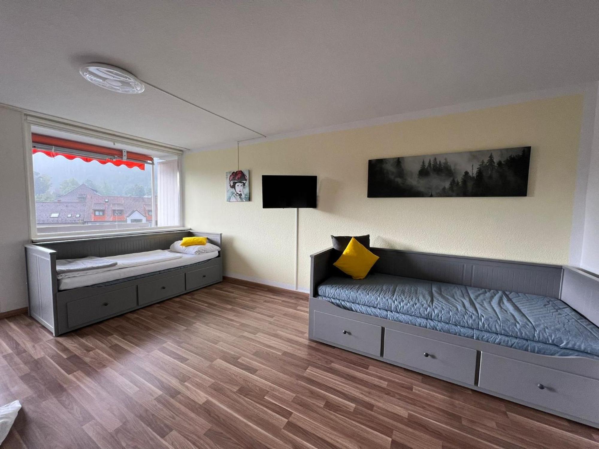 Domview Apartment St. Blasien Esterno foto