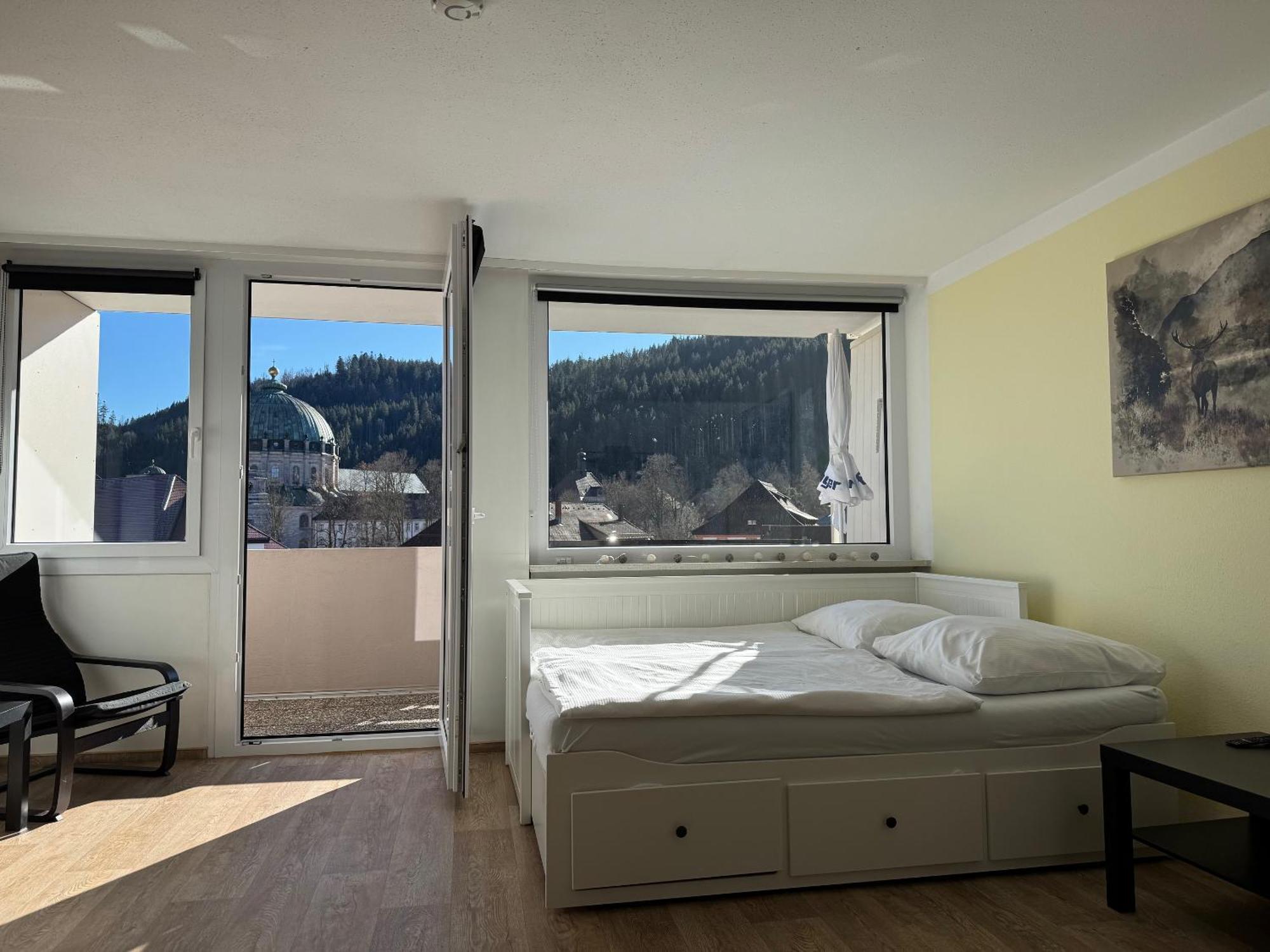Domview Apartment St. Blasien Esterno foto